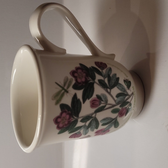 Portmeirion botanic garden Rhododendron lepidotum mugcup - Picture 1 of 5